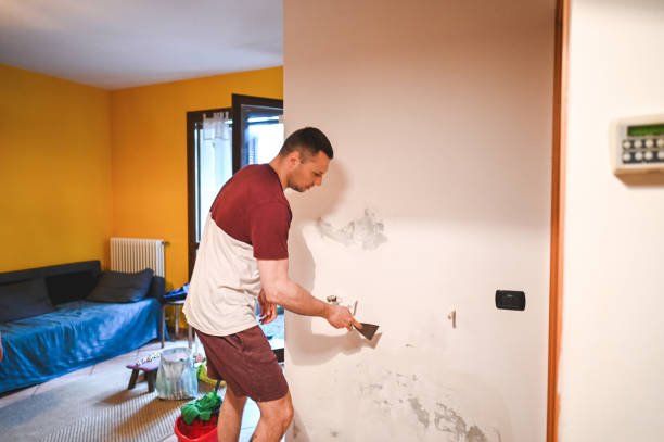 Best Localized Mold Remediation (e.g., coastal areas, humid climates) in Odell, OR